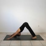 Adho-Mukha-Svanasana