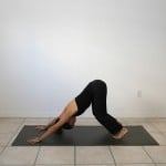 Adho-Mukha-Svanasana-Bent-Knees