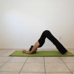 Adho-Mukha-Svanasana-Variation-1