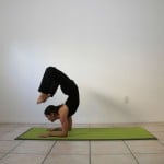 PIncha-Mayurasana-Variation