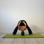 Prasarita-Padottanasana-B