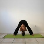 Prasarita-Padottanasana-C