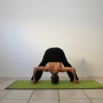 Prasarita-Padottanasana-D