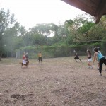 Yoga-Gol110