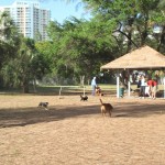Yoga-Gol112