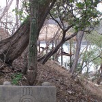 Rina-Yoga-Choosing-Inner-Peace-Retreat-352