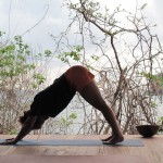 Rina-Yoga-Choosing-Inner-Peace-Retreat-394