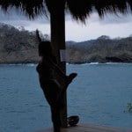 Rina-Yoga-Choosing-Inner-Peace-Retreat-436