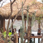 Rina-Yoga-Choosing-Inner-Peace-Retreat-485